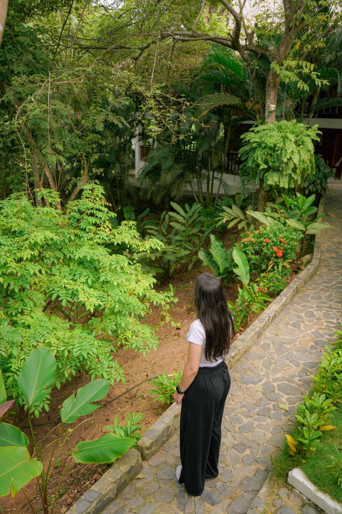 Ecohotel Yachay Tayrona Dentro Del Parque Tayrona El Zaino Ngoại thất bức ảnh