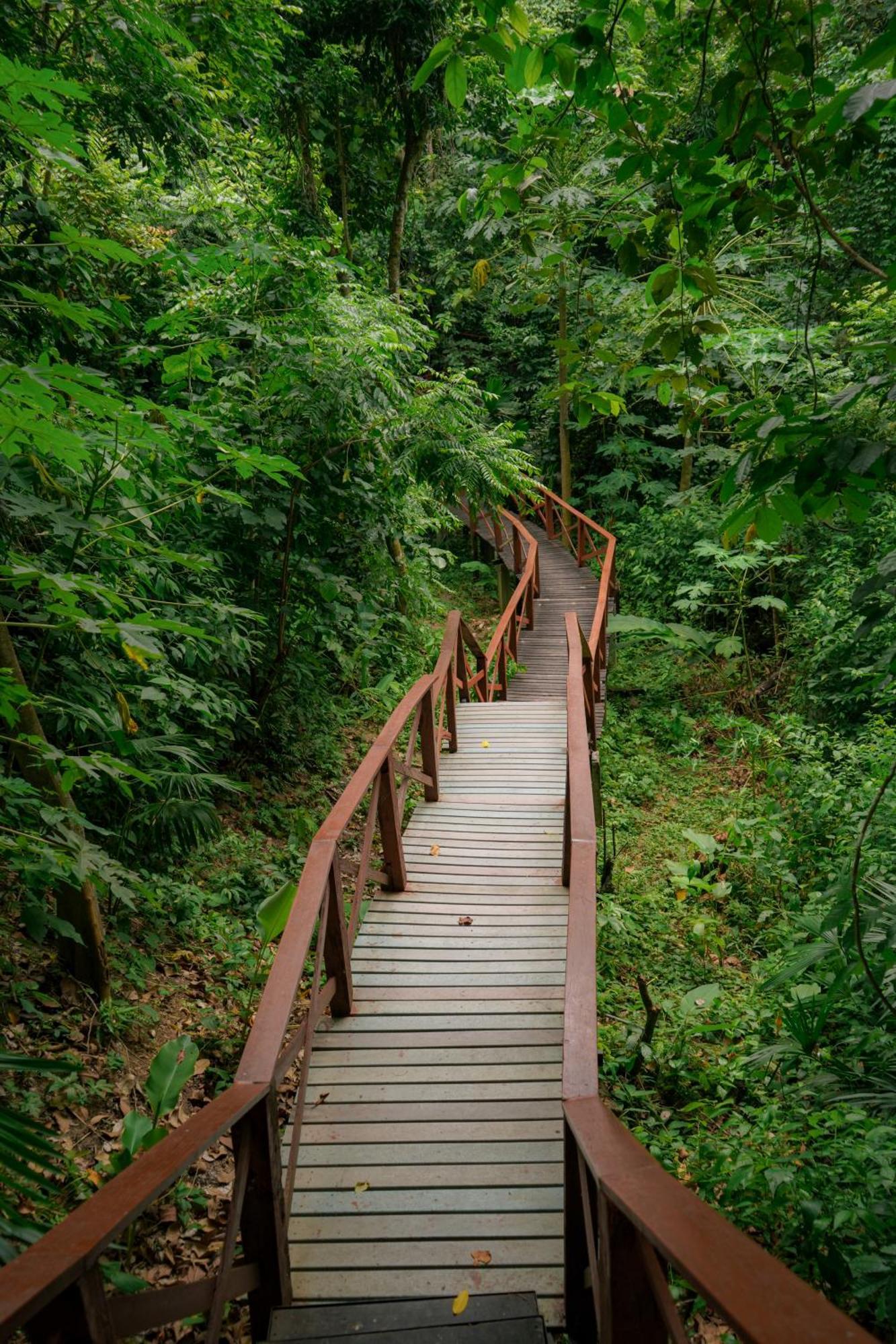 Ecohotel Yachay Tayrona Dentro Del Parque Tayrona El Zaino Ngoại thất bức ảnh