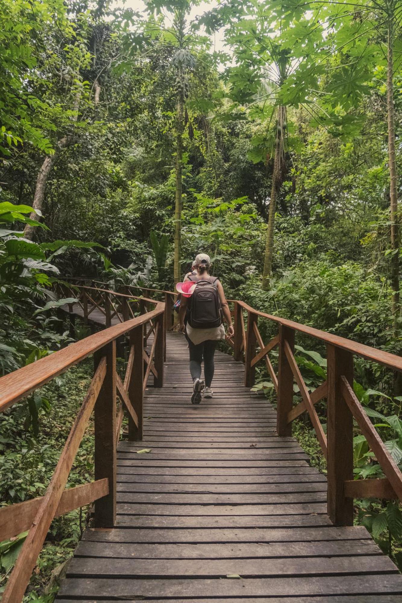 Ecohotel Yachay Tayrona Dentro Del Parque Tayrona El Zaino Ngoại thất bức ảnh