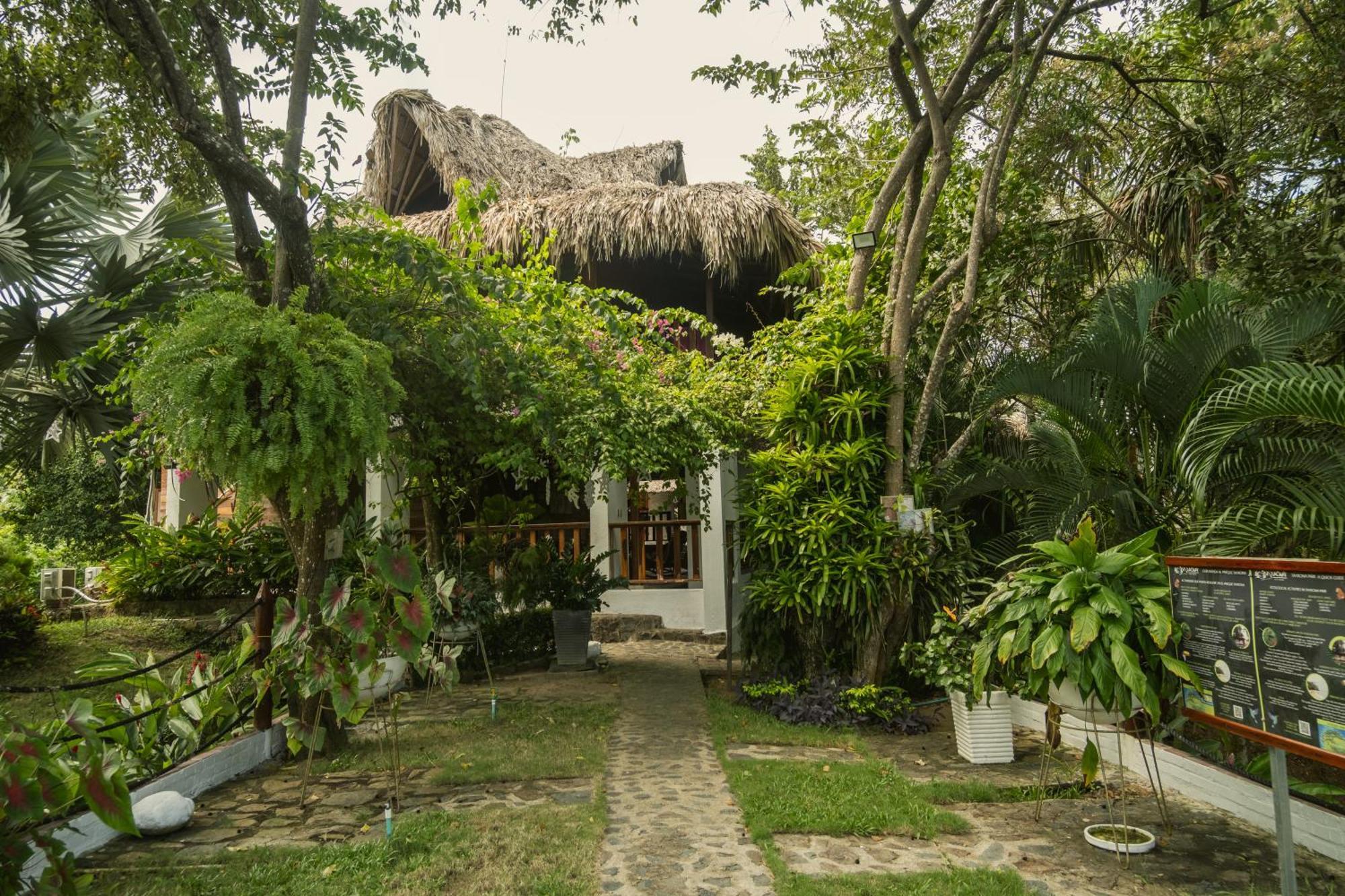 Ecohotel Yachay Tayrona Dentro Del Parque Tayrona El Zaino Ngoại thất bức ảnh